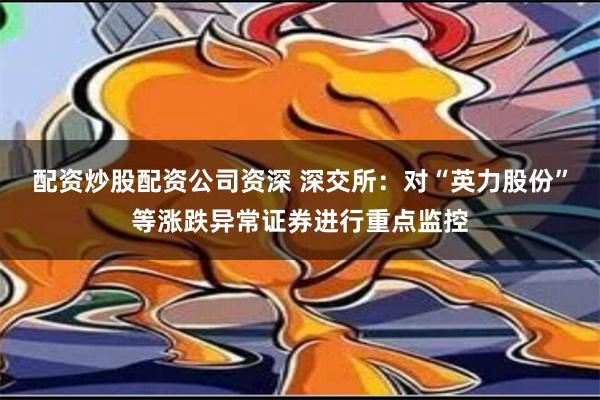 配资炒股配资公司资深 深交所：对“英力股份”等涨跌异常证券进行重点监控