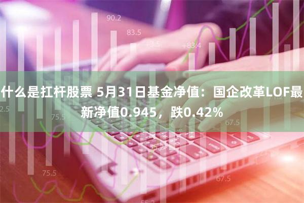 什么是扛杆股票 5月31日基金净值：国企改革LOF最新净值0.945，跌0.42%