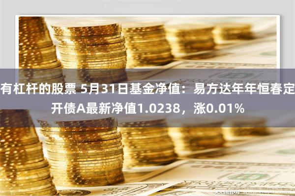 有杠杆的股票 5月31日基金净值：易方达年年恒春定开债A最新净值1.0238，涨0.01%