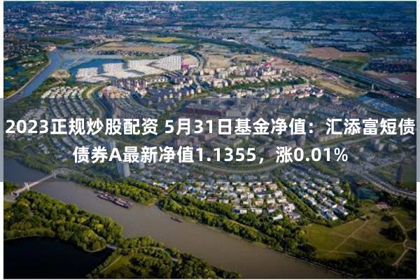 2023正规炒股配资 5月31日基金净值：汇添富短债债券A最新净值1.1355，涨0.01%