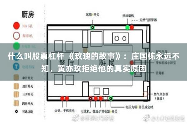 什么叫股票杠杆 《玫瑰的故事》：庄国栋永远不知，黄亦玫拒绝他的真实原因