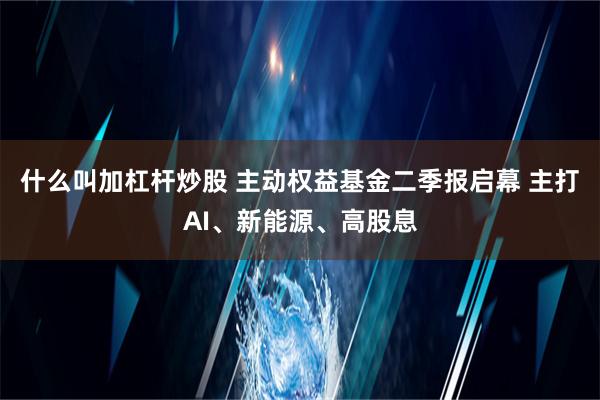 什么叫加杠杆炒股 主动权益基金二季报启幕 主打AI、新能源、高股息