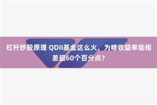 杠杆炒股原理 QDII基金这么火，为啥收益率能相差超60个百分点？