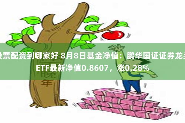 股票配资到哪家好 8月8日基金净值：鹏华国证证券龙头ETF最新净值0.8607，涨0.28%