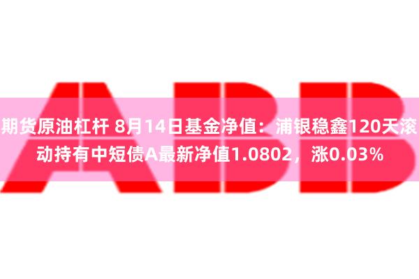 期货原油杠杆 8月14日基金净值：浦银稳鑫120天滚动持有中短债A最新净值1.0802，涨0.03%