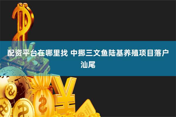 配资平台在哪里找 中挪三文鱼陆基养殖项目落户汕尾