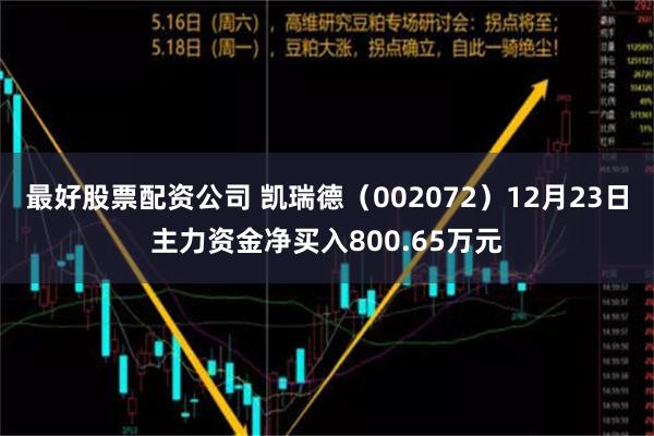 最好股票配资公司 凯瑞德（002072）12月23日主力资金净买入800.65万元