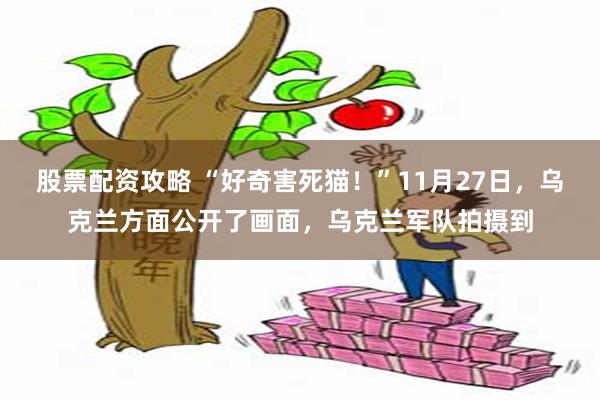 股票配资攻略 “好奇害死猫！”11月27日，乌克兰方面公开了画面，乌克兰军队拍摄到