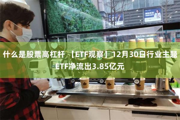 什么是股票高杠杆 【ETF观察】12月30日行业主题ETF净流出3.85亿元