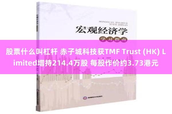 股票什么叫杠杆 赤子城科技获TMF Trust (HK) Limited增持214.4万股 每股作价约3.73港元